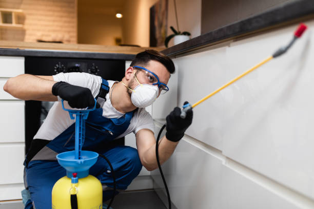 Best Pest Control Near Me in Williamston, MI