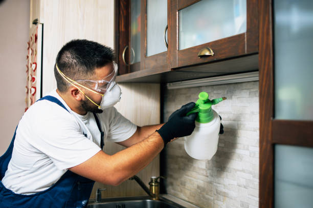 Best Flea Control Services  in Williamston, MI