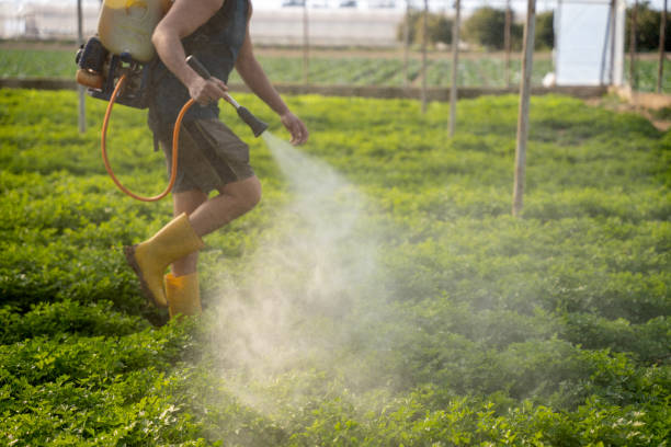 Reliable Williamston, MI Pest Control Solutions