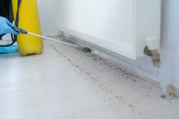 Best Pest Control Near Me  in Williamston, MI